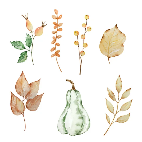 Thanksgiving watercolor elements, pumpkins and leaves isolated