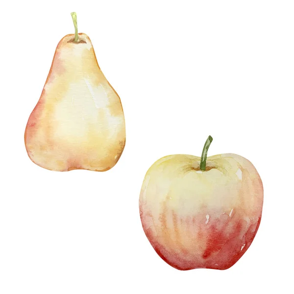 Στοιχεία Υδατοχρώματος Ευχαριστιών Αχλάδι Και Μήλο Απομονωμένα — Φωτογραφία Αρχείου