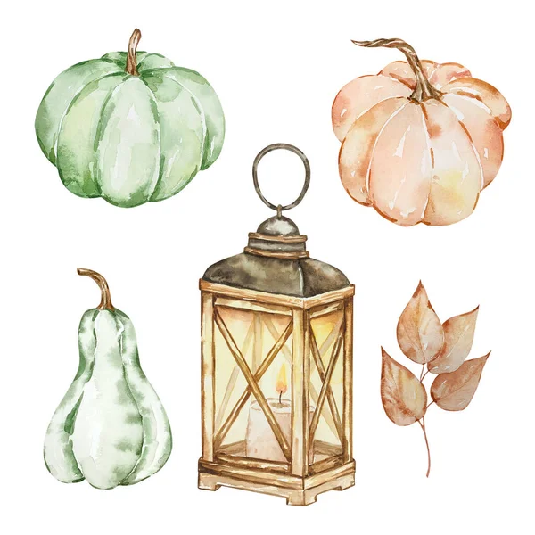 Thanksgiving watercolor elements, lantern and pumpkin isolated
