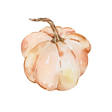 Suluboya sonbahar bej kabağı izole