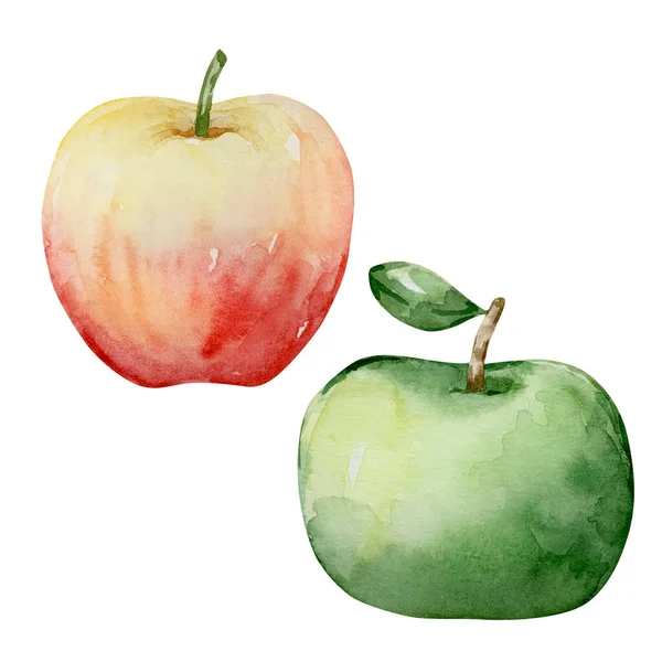 Элементы Акварели Благодарения Два Яблока Изолированы — стоковое фото