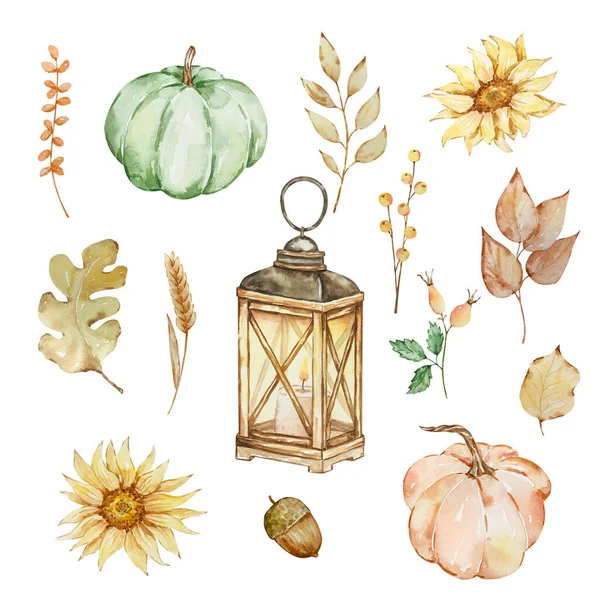 Thanksgiving watercolor elements, lantern, pumpkin, sunflowers and leaves isolated