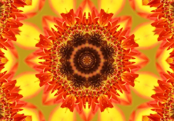 Kaleidoscope — Stock Photo, Image