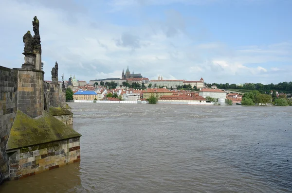 Prag'da sel — Stok fotoğraf