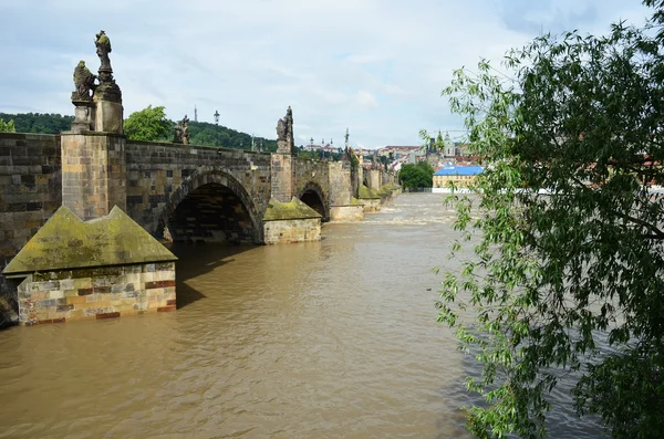 Prag'da sel — Stok fotoğraf