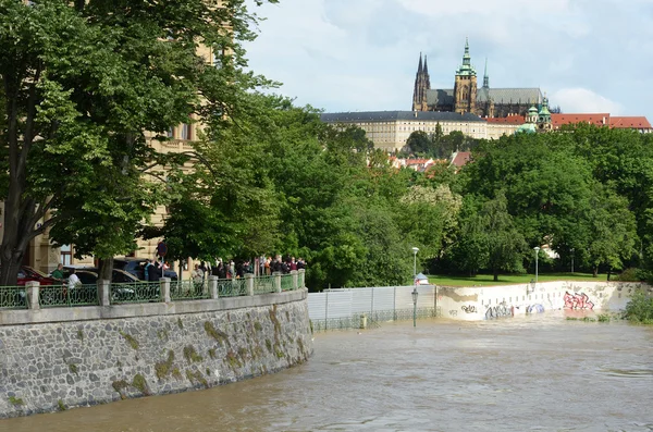 Prag'da sel