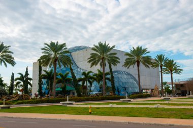 Salvador Dali Müzesi St. Petersburg, Florida FL, ABD merkezli Salvador Dali 'nin çalışmalarına adanmış bir sanat müzesidir.. 
