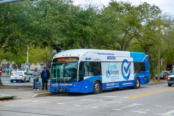 Hillsborough Bölgesel Transit HART halk otobüsü Tampa, Florida FL, ABD 'de Ybor City Tarihi Bölgesi' nde. 