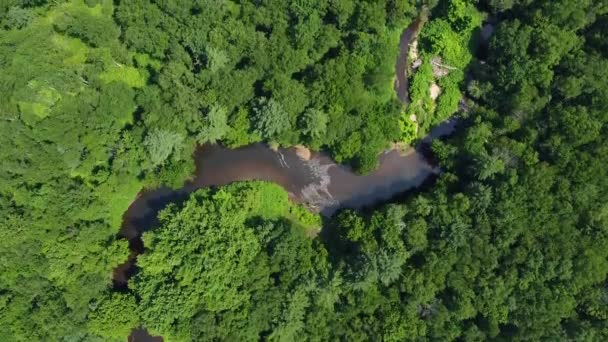 Vue Dessus Rivière Nashua Été Dans Johnny Appleseed State Park — Video
