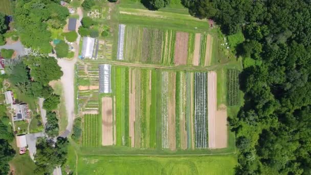 美国麻萨诸塞州弗拉明市卡拉汉州立公园农田概览 — 图库视频影像