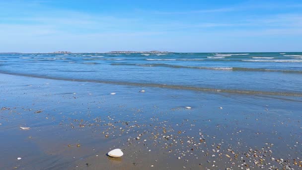 Våga Sandstrand Med Ett Skal Revere Beach Staden Revere Massachusetts — Stockvideo