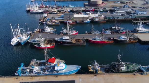 Nueva Vista Aérea Del Puerto Bedford Con Barcos Pesca Atracados — Vídeo de stock