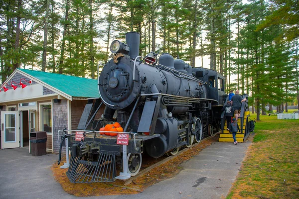 Philadelphia Baldwin Steam Locomotive 250 Edaville Family Theme Park Carver — Stock fotografie