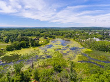Wayland, Massachusetts MA, ABD 'de yaz mevsiminde Pine Brook bataklık hava manzarası. 