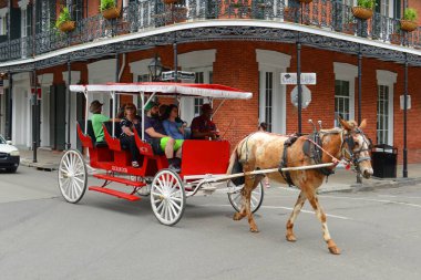 Royal Caddesi 'ndeki at arabası turu New Orleans, Louisiana LA, ABD' deki Dumaine Caddesi 'nde gerçekleşti..