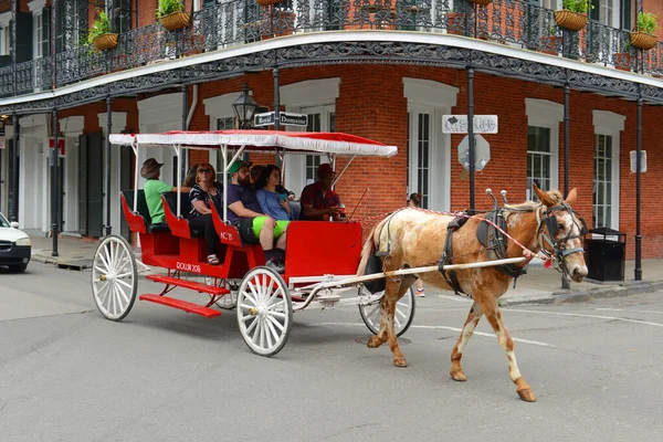 Horse Drawn Carriage Tour Royal Street Dumaine Street French