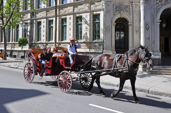 Paardenkoets Tour Rue Saint Louis Street Het Oude Quebec World — Stockfoto