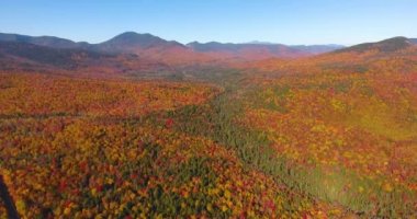 White Mountain Ulusal Ormanı, New Hampshire NH, ABD 'deki Sugar Hill Sahne Vista yakınlarındaki Kancamagus Otoyolu' na yapraklar dökülüyor..