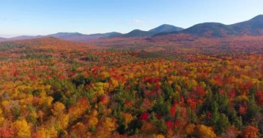 White Mountain Ulusal Ormanı, New Hampshire NH, ABD 'deki Sugar Hill Sahne Vista yakınlarındaki Kancamagus Otoyolu' na yapraklar dökülüyor..