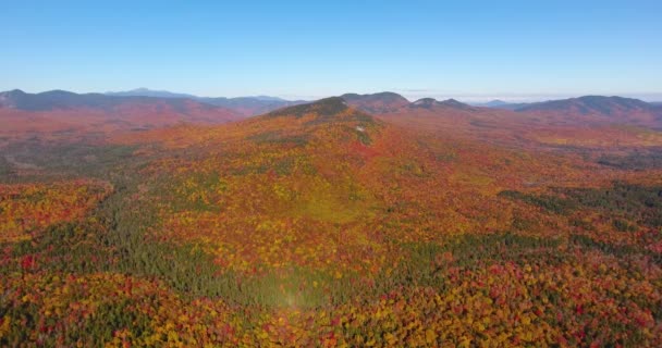 White Mountain National Forest Fall Foliage Kancamagus Highway Aerial View — Stock Video