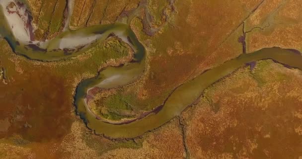 米国マサチューセッツ州ケープ アン州グロスターのグッドハーバービーチの沼を飛ぶのトップビュー — ストック動画