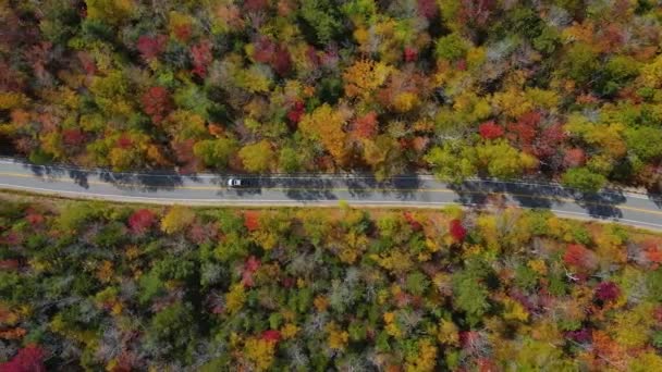 White Mountain National Forest Und Pemigewasset River Valley Fallen Laub — Stockvideo