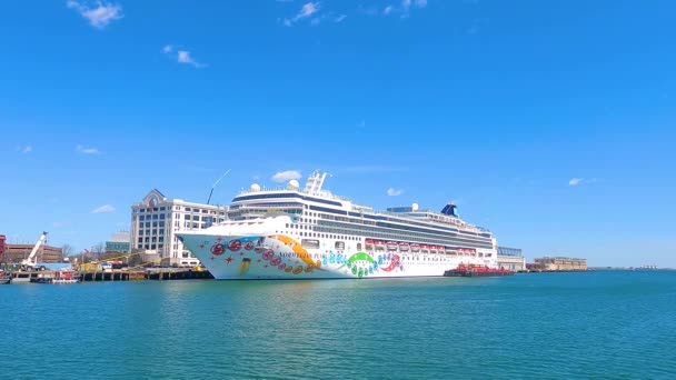 Norwegian Pearl Norwegian Cruise Line Docked Boston Cruise Port Seaport — Stockvideo