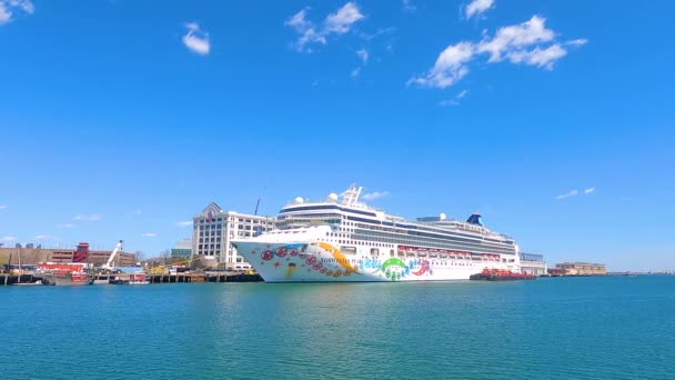 Norwegian Pearl Norwegian Cruise Line Docked Boston Cruise Port Seaport — Vídeo de Stock