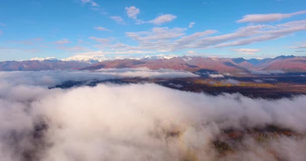 Denali Alaska Range Mountains Aerial View Cloud Fall Denali State — Vídeos de Stock