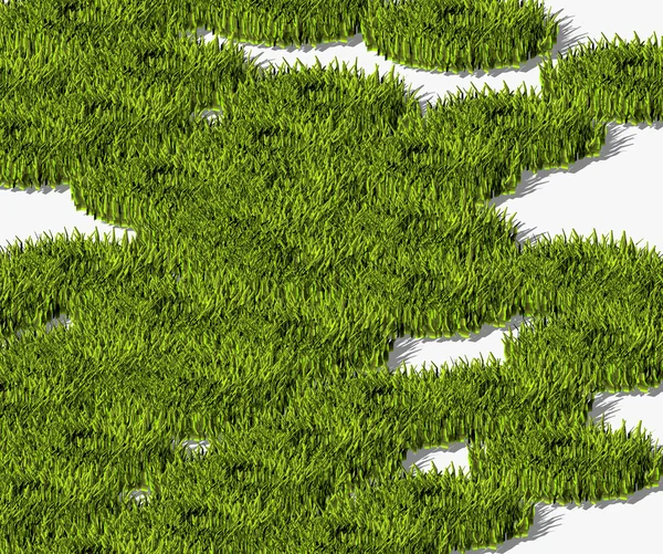 Grass — Stock Photo, Image