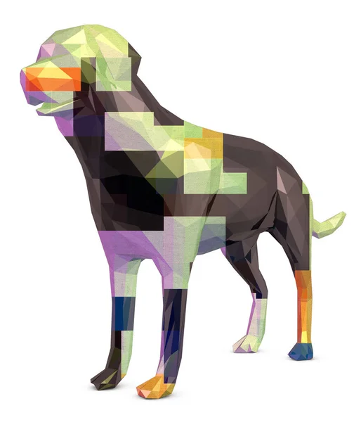 Dog Low Poly Sfondo Bianco Rendering Illustrazione — Foto Stock