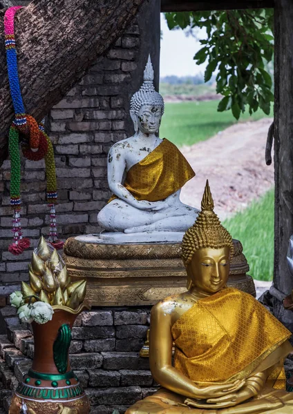 Nakhon Nayok Tailândia Março 2020 Estátua Buda Antiga Igreja 200 — Fotografia de Stock