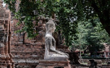 Aytthaya, Tayland, 22 Ağustos 2020: Wat phra mahathat 'da antik Buda heykeli. Tayland 'ın Ayutthaya eyaleti. Seçici odak.