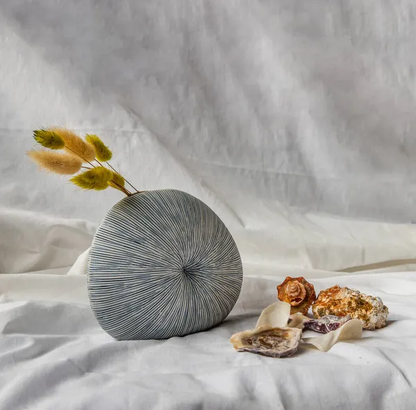 白底手工制作的陶瓷花瓶和贝壳中的干花 家居装饰 文字空间 — 图库照片