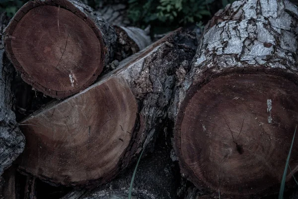 Pila Tocones Sharea Obtusa Listo Para Uso Construcción Madera Natural —  Fotos de Stock