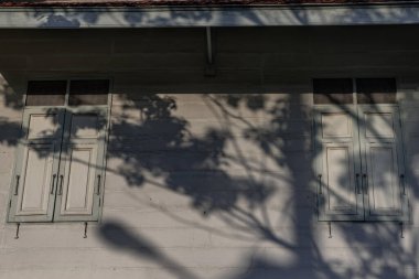 Bangkok, Tayland - 9 Aralık 2019 Antik Tayland 'da, eski duvarın iki ahşap vintage penceresinde bir ağaç gölgesi parlıyor..