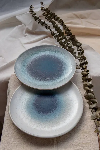 Set Van Keramische Platen Met Gedroogde Bloemen Calico Keramisch Servies — Stockfoto