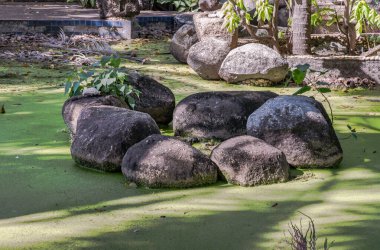 Güneş ışınları göletteki taş cairn ve yeşil bitkileri aydınlatıyor. Duvar kağıdı için güzel arkaplan, Seçici odak.