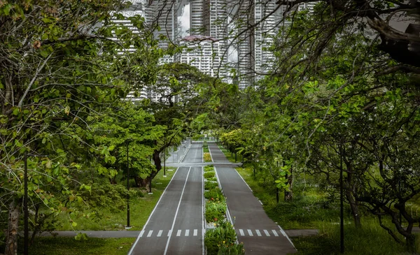 泰国曼谷 2022年2月19日 在市中心的一个大型城市公园里跑步和骑自行车的轨道 空荡荡的街道 公园里的放松 有选择的重点 — 图库照片
