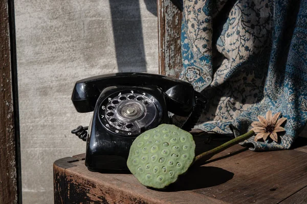 Taze Yeşil Nilüfer Tohumu Kapsülleri Eski Siyah Eski Telefon Seçici — Stok fotoğraf