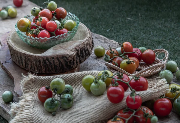 Groupe Variétés Colorées Tomates Sauvages Fraîches Mini Tomates Cerises Sur — Photo