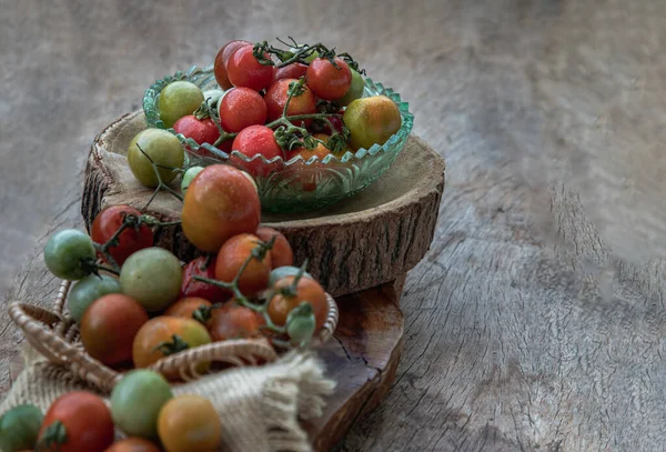 Groupe Variétés Colorées Tomates Sauvages Fraîches Mini Tomates Cerises Sur — Photo