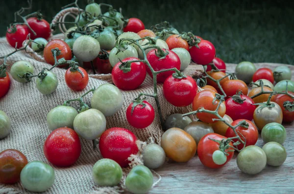 Groupe Variétés Colorées Tomates Sauvages Fraîches Mini Tomates Cerises Sur — Photo