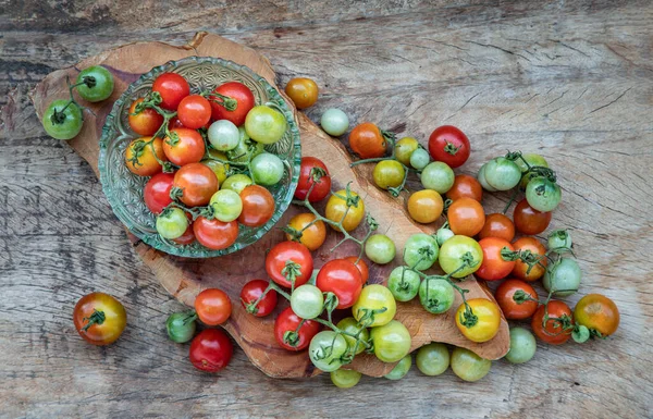 Grupp Färgglada Olika Färska Vilda Tomater Mini Cherry Tomatos Gamla — Stockfoto