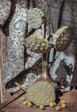 Antika oyulmuş demir sürahi ya da eski ahşap sandalyede taze nilüfer tohumu kabukları. Seçici odak.