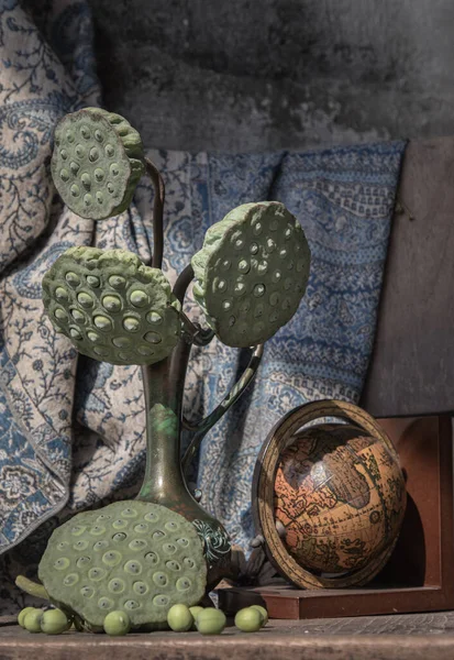 アンティーク彫刻された鉄のジャグや古い木製の椅子の上に木製の地球と花瓶で新鮮な緑の蓮の種鞘 ダークトーン 選択的フォーカス — ストック写真