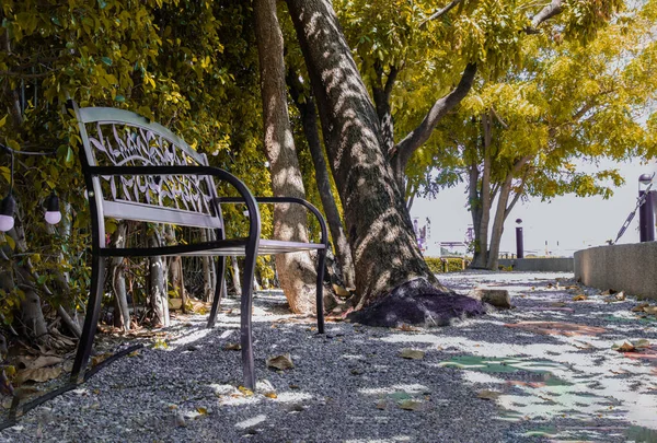 Morning Sunlight Backrest Surface Empty Black Wrought Iron Steel Benched — Stock Photo, Image