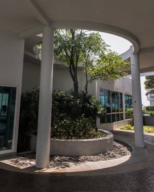 Bangkok, Tayland - 14 Nisan 2022: Yazın ortasında büyük bir ağaç. Yeşil yaşam konsepti için bina tasarımı. Çevre dostu bina tasarımı. Ekoloji konsepti. Tam olarak odaklanamıyorum..