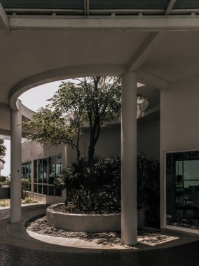 Bangkok, Tayland - 14 Nisan 2022: Yazın ortasında büyük bir ağaç. Yeşil yaşam konsepti için bina tasarımı. Çevre dostu bina tasarımı. Ekoloji konsepti. Tam olarak odaklanamıyorum..