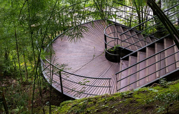 Wooden Walking Stairs Green Steel Railing Surrounding Green Trees Bamboo — Φωτογραφία Αρχείου